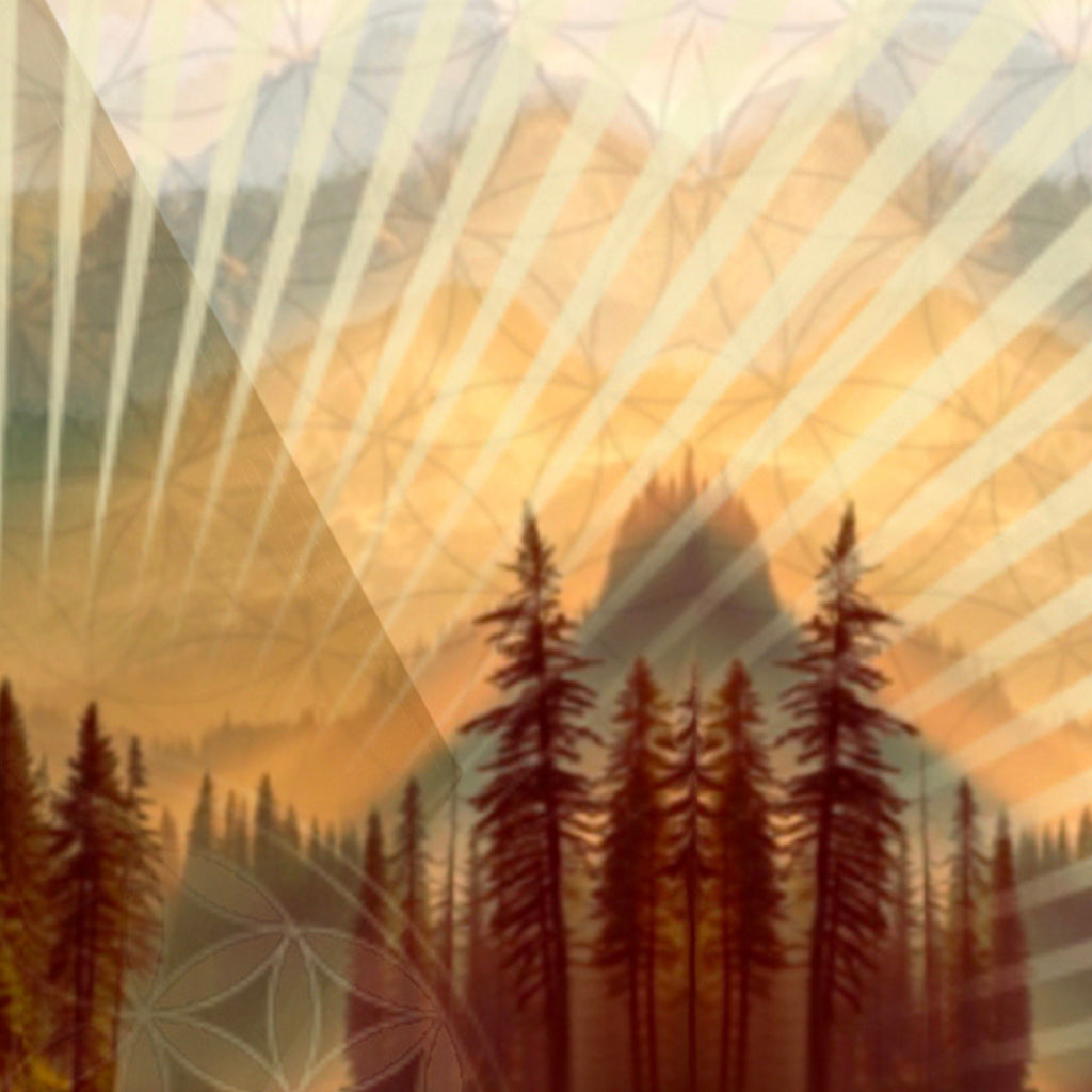 Using Up The Crumbs —A story of creativity, community, and conscious consumption.